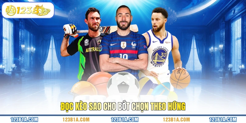 Đọc kèo sao cho bớt chọn theo hứng 