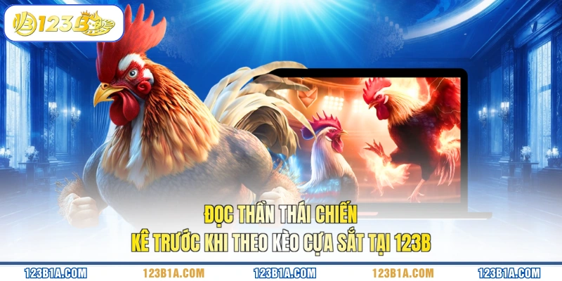 Đọc thần thái chiến kê trước khi theo kèo cựa sắt tại 123B