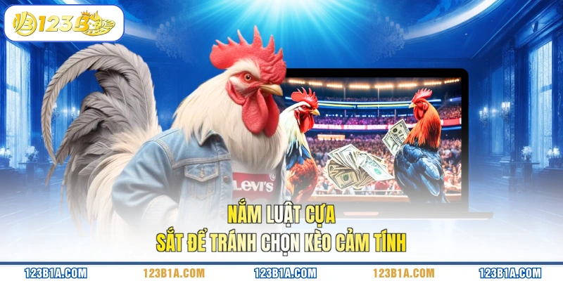 Nắm luật cựa sắt để tránh chọn kèo cảm tính 