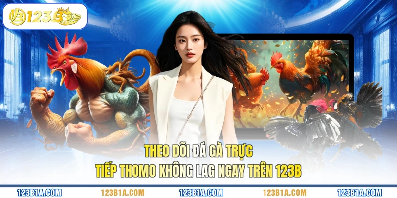 Theo dõi đá gà trực tiếp Thomo không lag ngay trên 123B