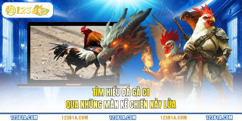 Tìm hiểu đá gà C1 qua những màn kê chiến nảy lửa 