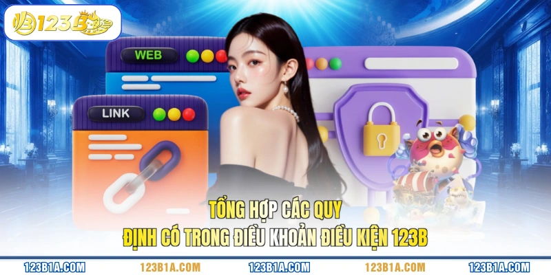 Tổng hợp các quy định có trong điều khoản điều kiện 123B