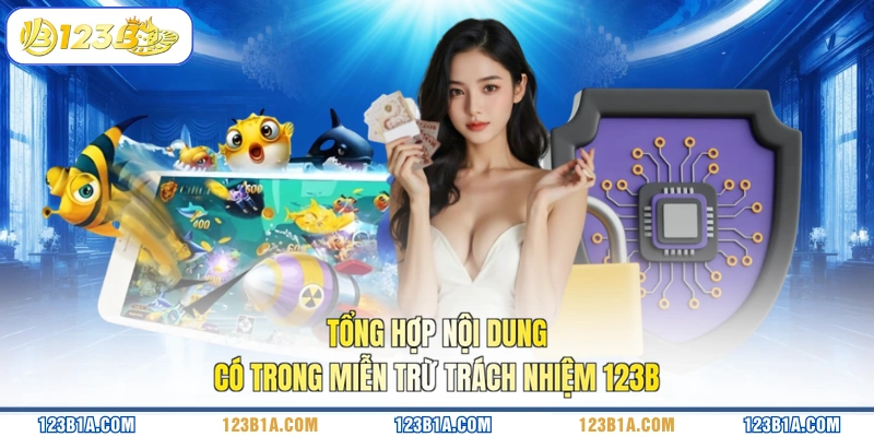 Tổng hợp nội dung có trong miễn trừ trách nhiệm 123B